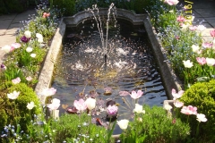 Wasserbecken im Klostergarten im Mai-min