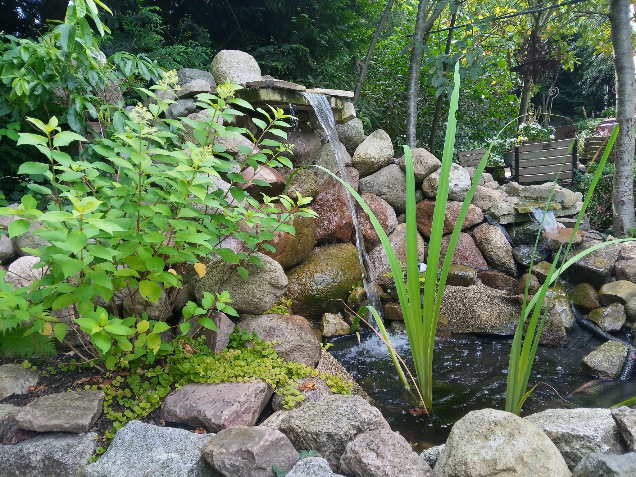 Der Teich mit Wasserlauf, Steg , Wasserfall und Grotte – Annettes Garten